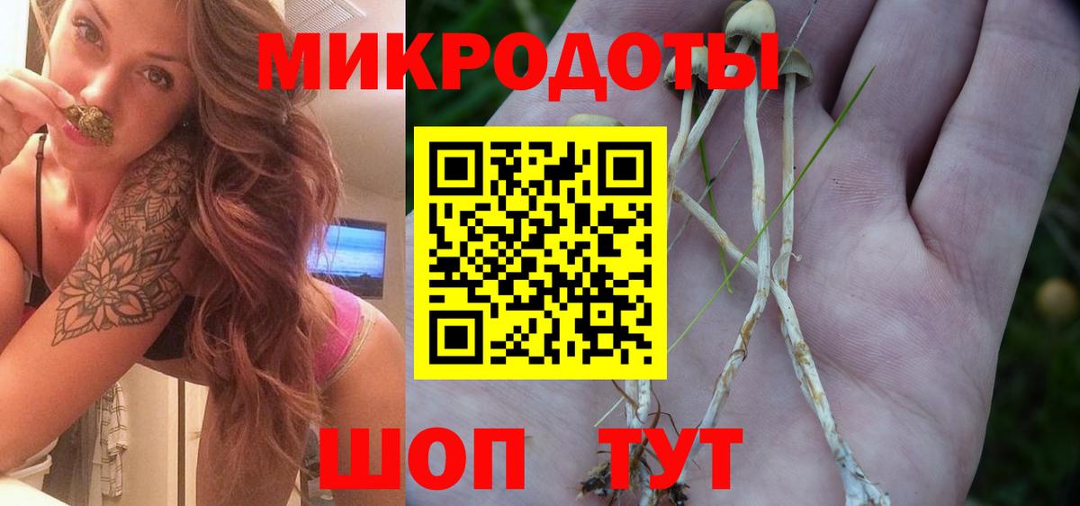 Псилоцибиновые грибы мухоморы  Вход с VPN  Волхов 