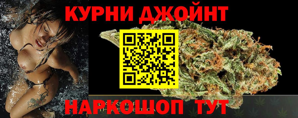Каннабис сатива Волхов